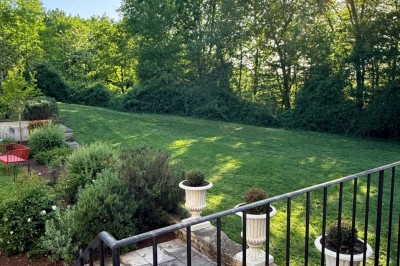 Pelouse verdoyante bordée d'arbres sous un ciel bleu clair, avec une haie en arrière-plan.