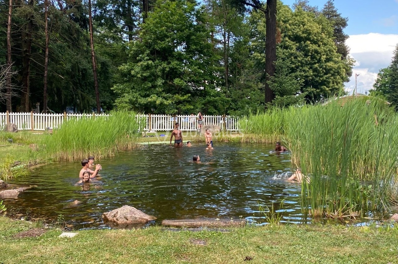 Des personnes se baignent dans un étang naturel entouré de roseaux et d'arbres, avec une clôture blanche en arrière-plan.