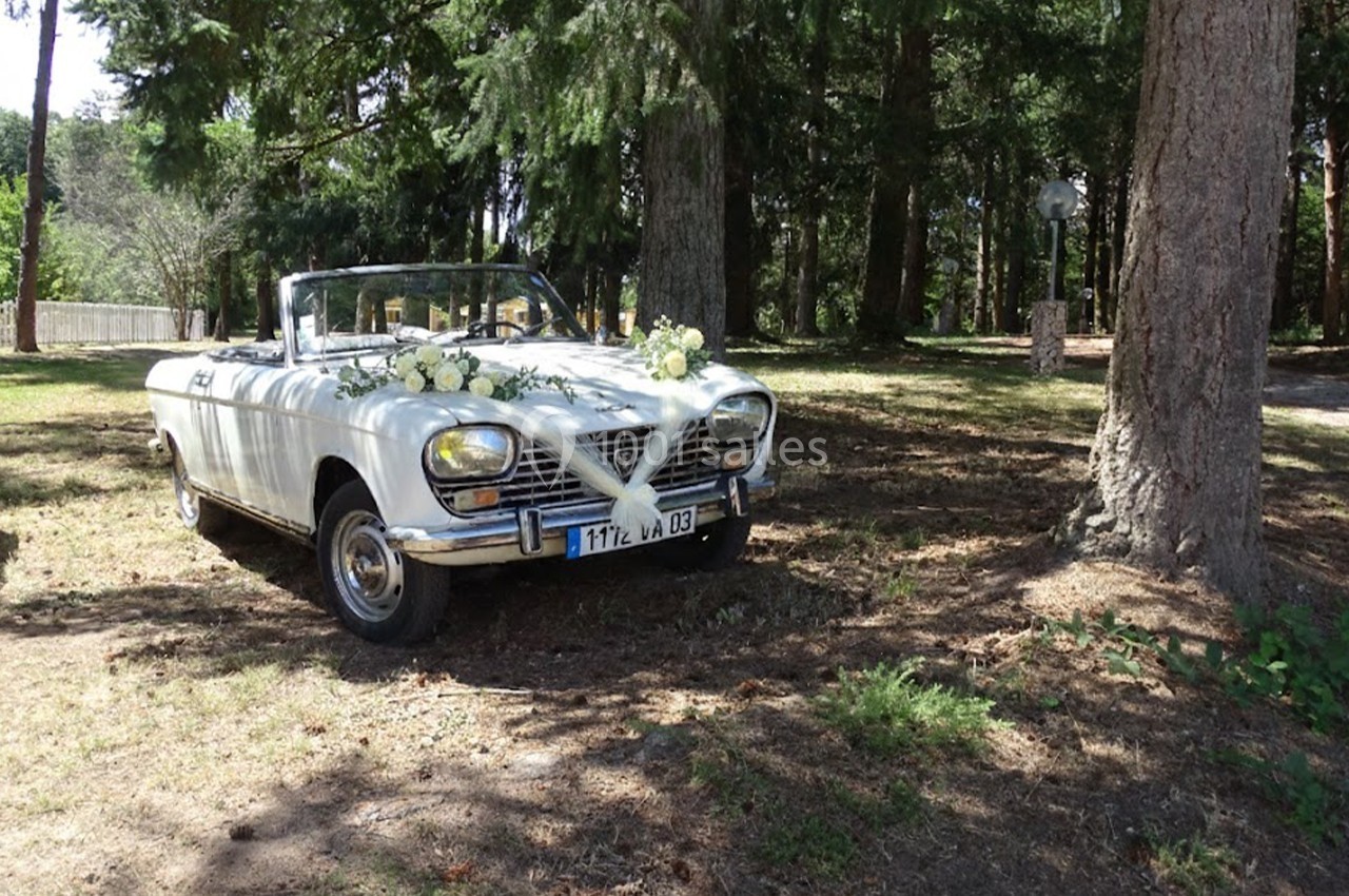 Voiture décapotable blanche décorée de fleurs, stationnée dans un parc boisé en plein jour.
