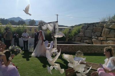 Miniature Location salle Peypin (Bouches-du-Rhône) - Casa Perla Réceptions #7 Location salle Peypin (Bouches-du-Rhône) - Casa Perla Réceptions #21