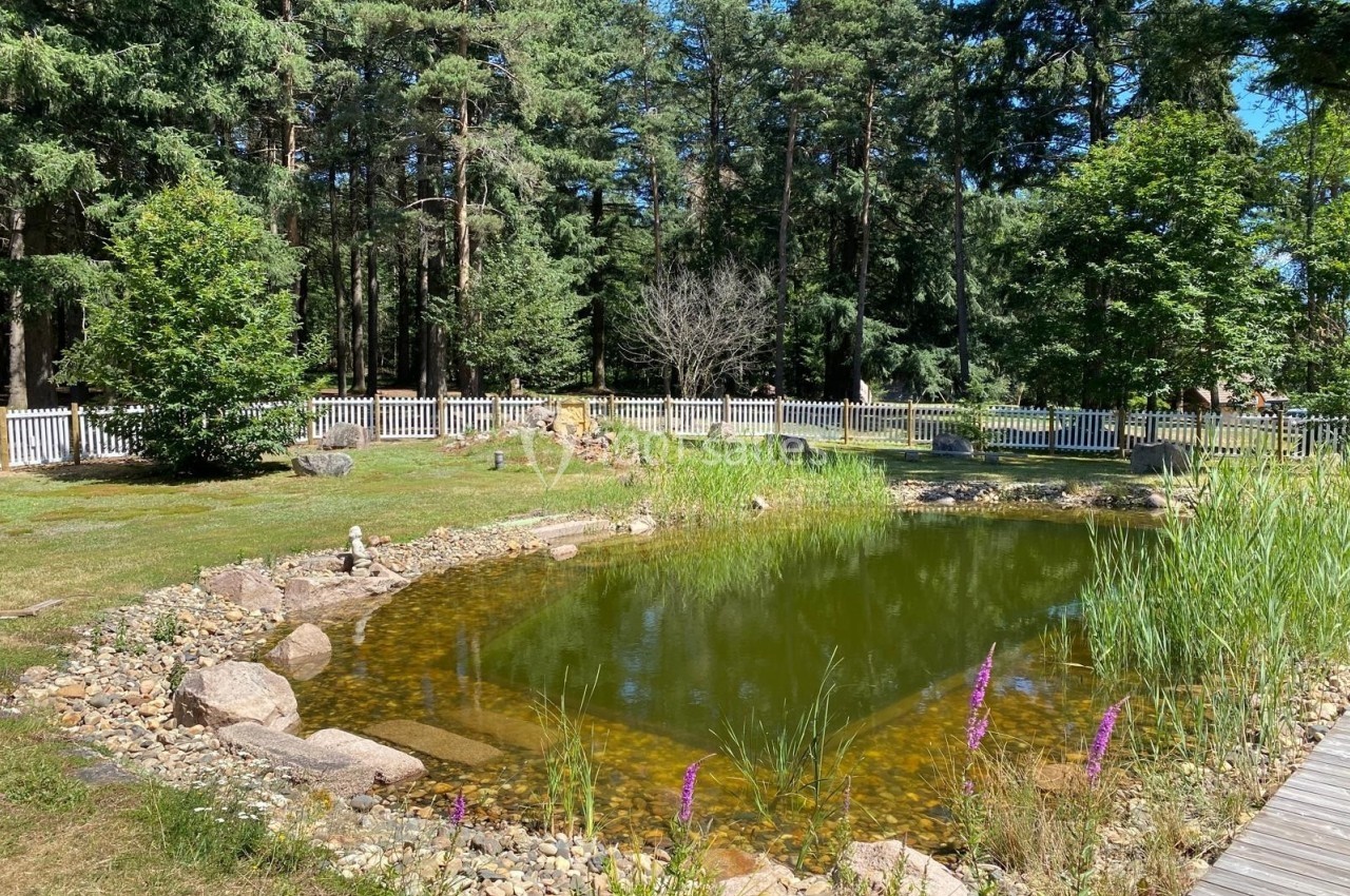 Étang bordé de pierres et de plantes, entouré d'herbe, d'arbres et d'une clôture blanche en bois.