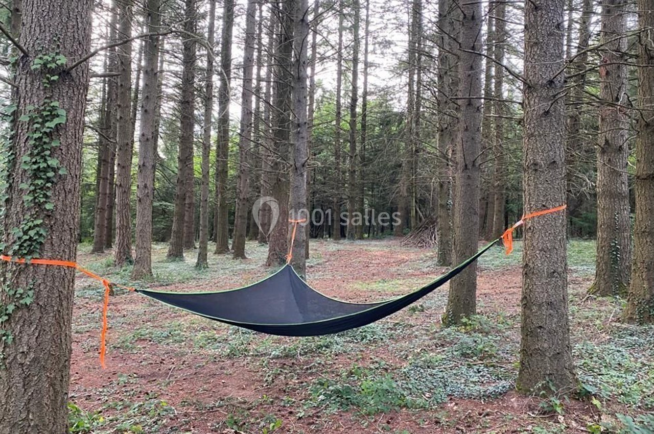 Hamac suspendu entre des arbres dans une forêt, avec un sol recouvert de mousse et de feuilles.