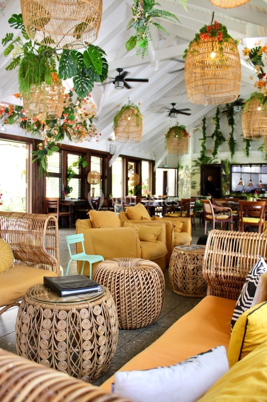 Espace intérieur lumineux avec mobilier en rotin, coussins jaunes et plantes suspendues dans une ambiance tropicale.