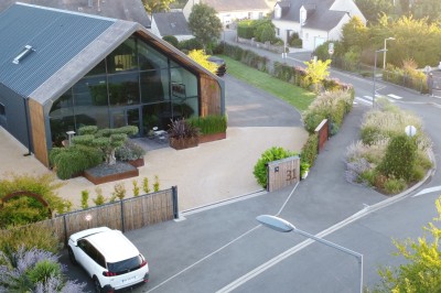 Ginkgo - photo 5