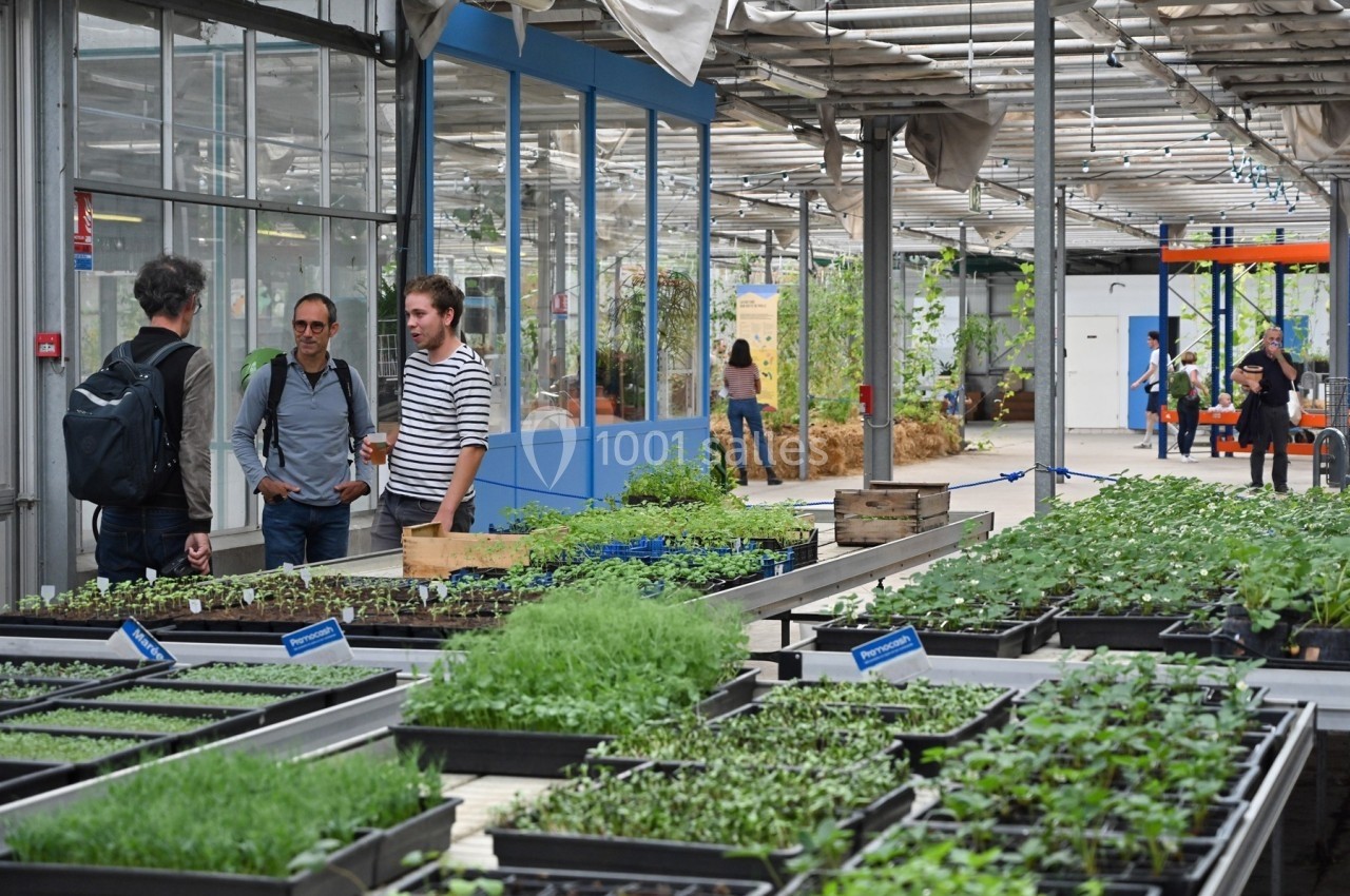 Des personnes discutent dans une serre urbaine avec des tables remplies de plantes en croissance.