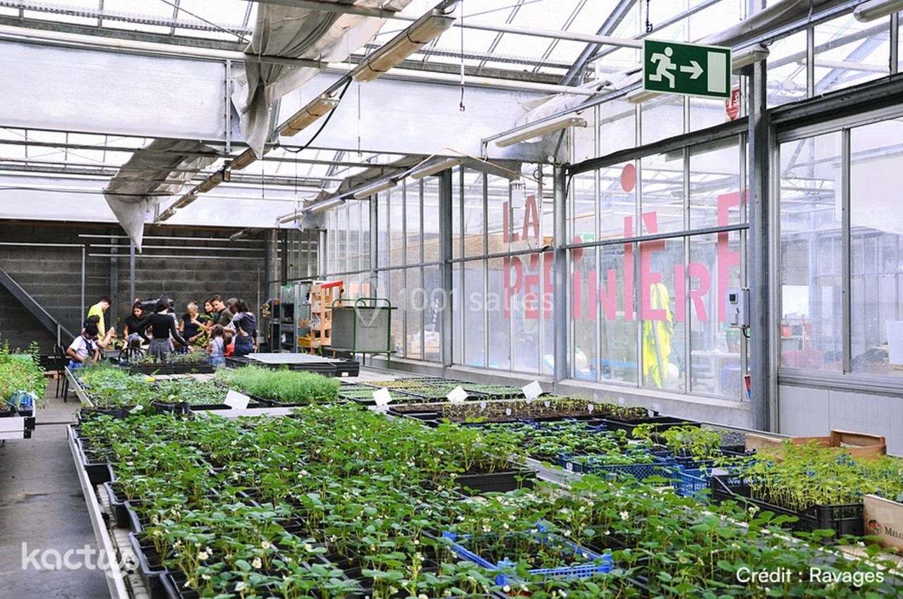 Des plants en croissance dans une serre lumineuse avec des personnes travaillant en arrière-plan.