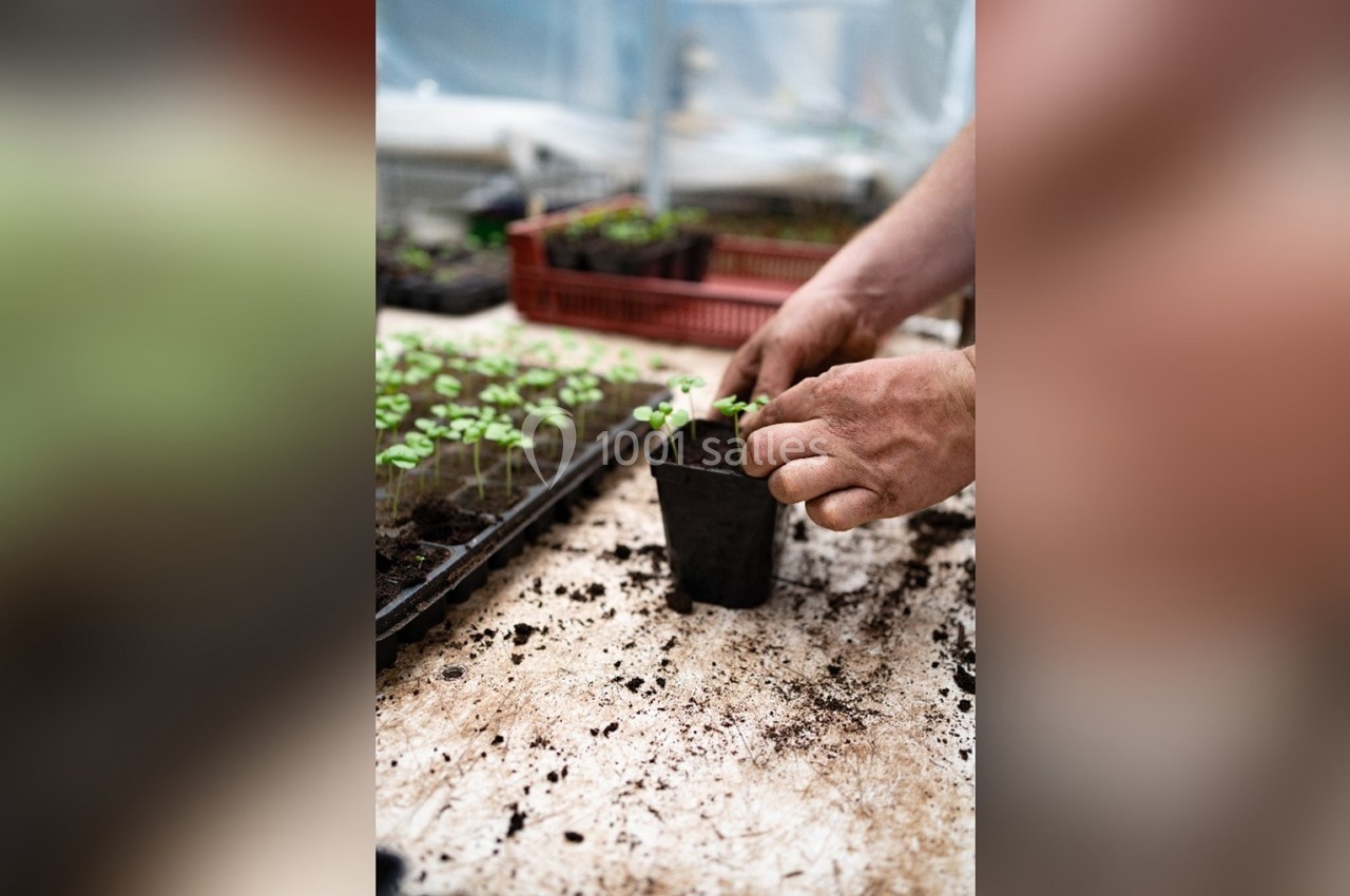 Une personne plante un jeune plant dans un pot noir sur une table de travail dans une serre.