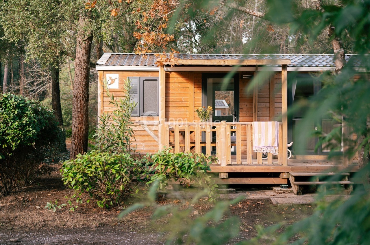 Chalet en bois entouré de végétation, avec une terrasse équipée d'une table et d'une serviette suspendue.