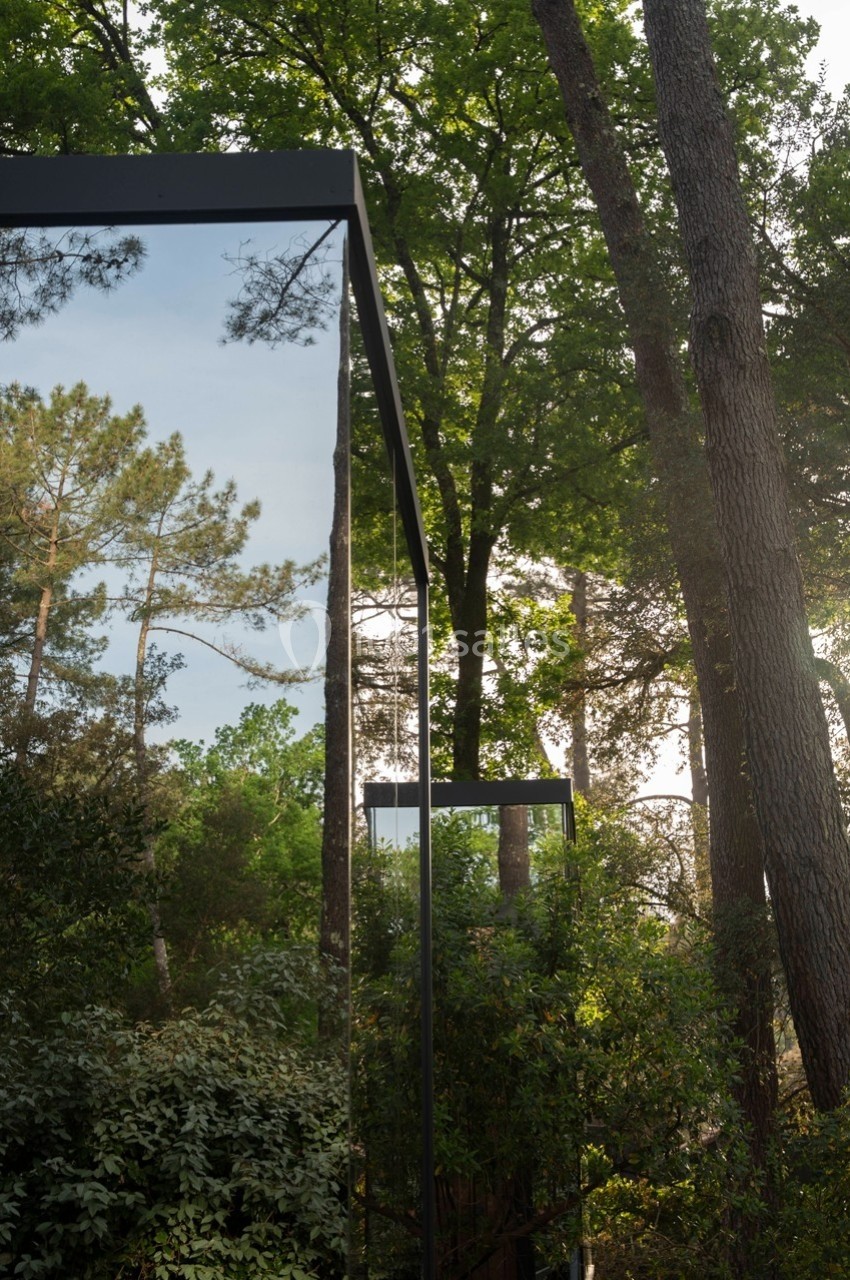 Façade vitrée reflétant des arbres et un ciel dégagé, entourée de végétation dense en forêt.