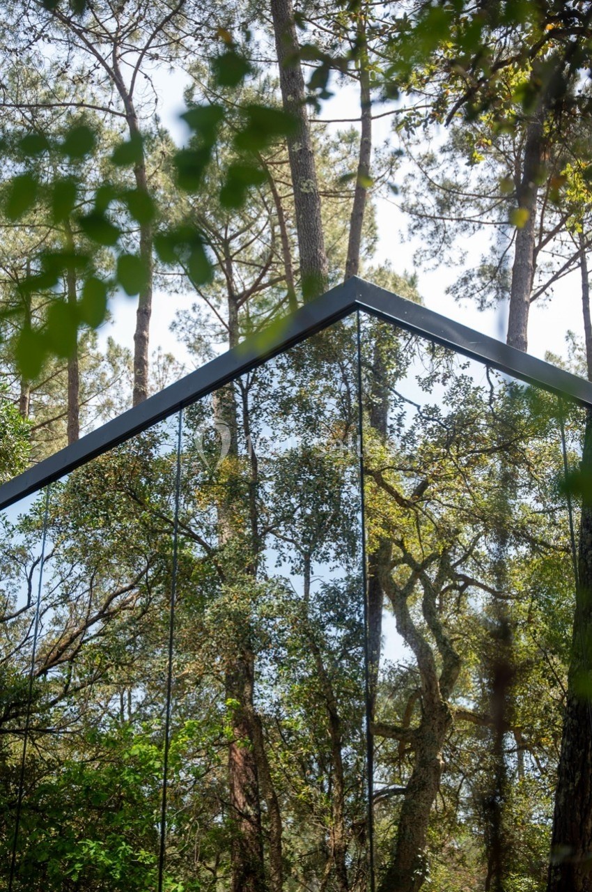 Façade en verre reflétant des arbres et un ciel dégagé dans une forêt dense.