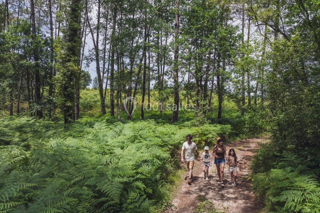Une famille marche sur un sentier forestier entouré de fougères et d'arbres sous un ciel dégagé.