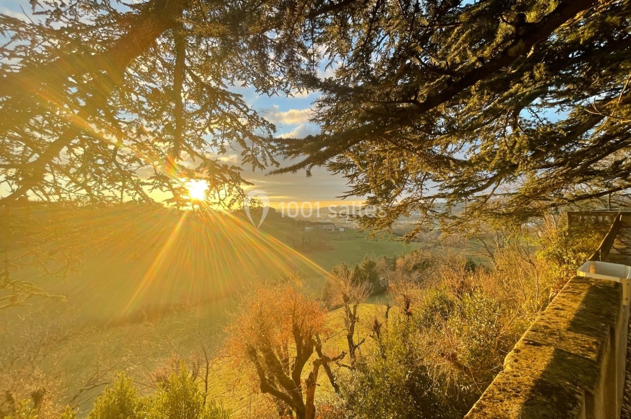 Paysage ensoleillé avec vue sur une vallée verdoyante, encadrée par des branches d'arbres au premier plan.