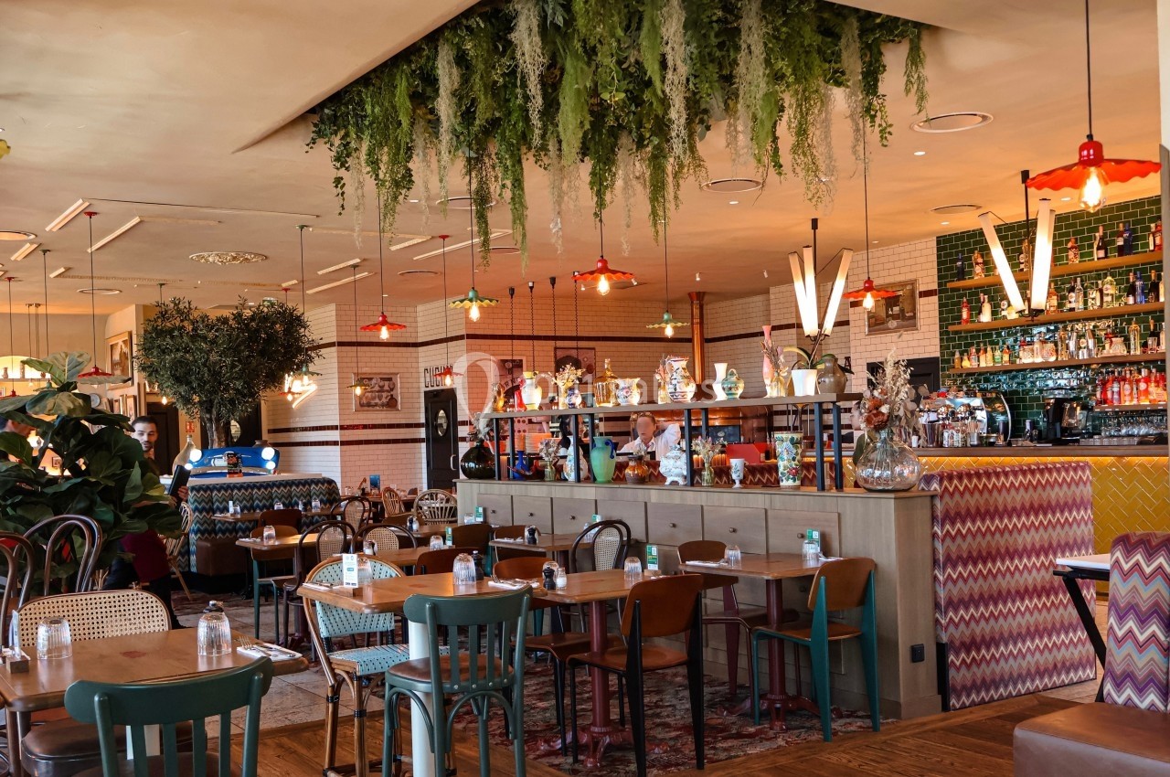 Salle de restaurant lumineuse avec décoration végétale suspendue, mobilier éclectique et comptoir en arrière-plan.