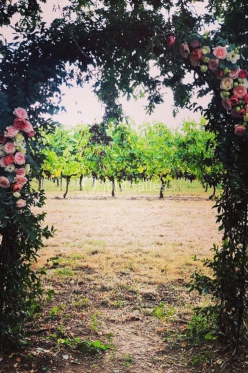 Arche décorée de roses roses et feuillage, encadrant une vue sur des rangées de vignes sous un ciel dégagé.