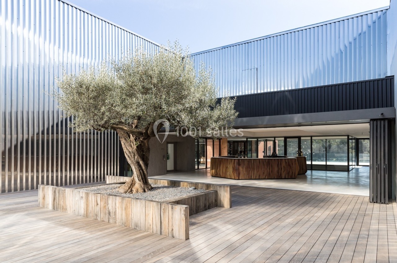Cour intérieure moderne avec un olivier central planté dans un bac en bois, entourée de façades métalliques et vitrées.