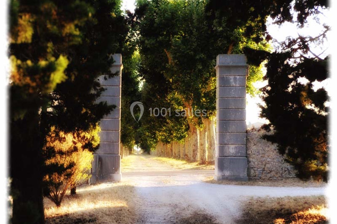 Allée bordée d'arbres traversant une entrée en pierre, baignée par une lumière douce en fin de journée.