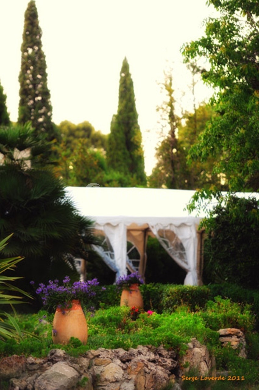 Jardin verdoyant avec des pots en terre cuite et une tente blanche entourée d'arbres et de végétation.
