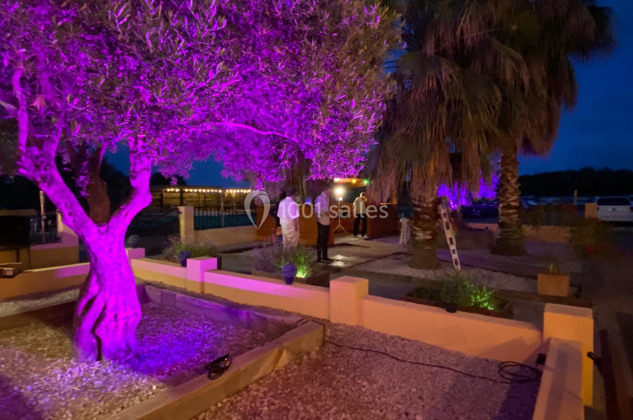 Un jardin de nuit éclairé par des lumières violettes, avec un olivier au premier plan et des palmiers en arrière-plan.