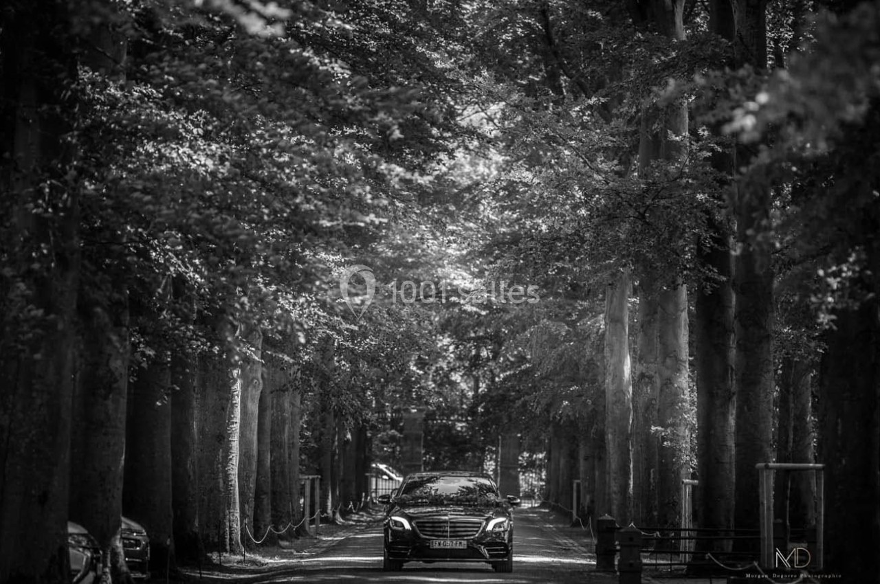 Voiture noire circulant sur une allée bordée d'arbres imposants dans un environnement ombragé.