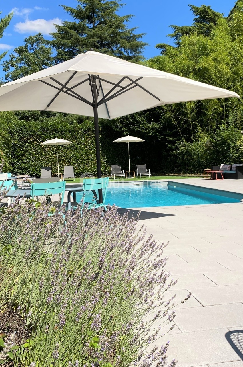 Piscine extérieure entourée de chaises longues, parasols blancs et végétation, avec lavande au premier plan.