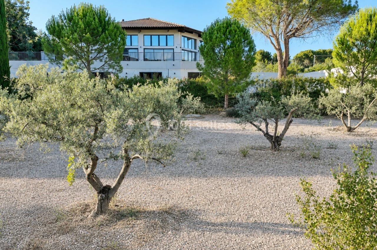 Vue d'un jardin méditerranéen avec des oliviers et des pins, en arrière-plan une maison moderne entourée de végétation.