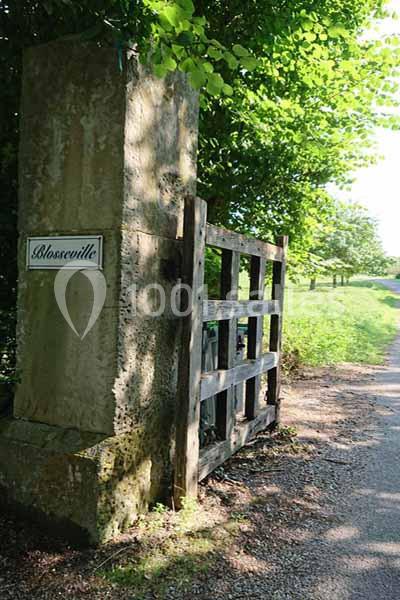 Le Domaine de Blosseville - galerie - photo 3