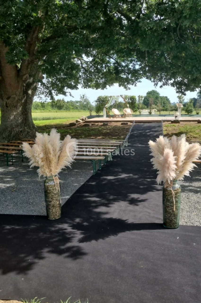 Allée extérieure décorée de tapis noir et de bouquets de pampas, menant à des bancs sous un grand arbre.