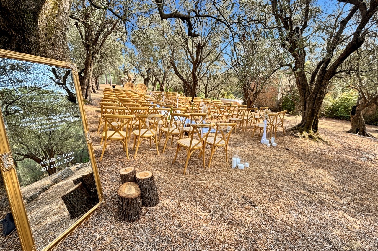 Chaises en bois disposées en rangées dans une clairière entourée d'oliviers, avec un miroir doré et des rondins au premier…
