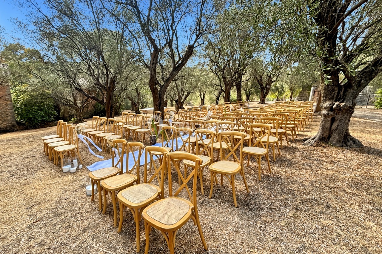 Chaises en bois disposées en rangées sous des oliviers, formant un espace extérieur pour une cérémonie.