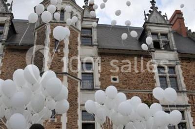 Miniature Location salle Orée d'Anjou (Maine-et-Loire) - Château De La Colaissière #20 Location salle Orée d'Anjou (Maine-et-Loire) - Château De La Colaissière #23