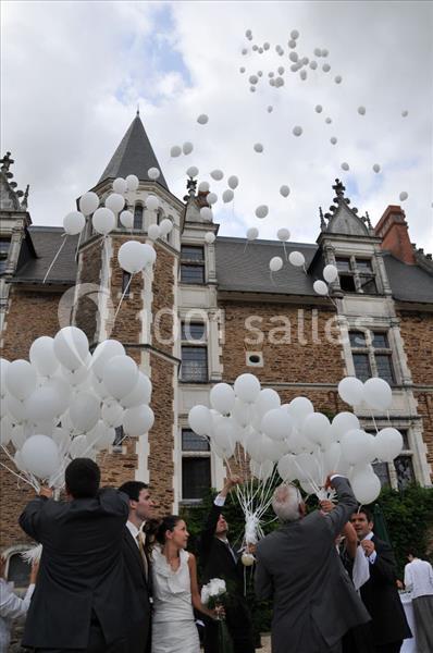 Location salle Orée d'Anjou (Maine-et-Loire) - Château De La Colaissière #20