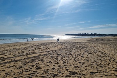 Le Chai de Jard sur Mer - photo 4