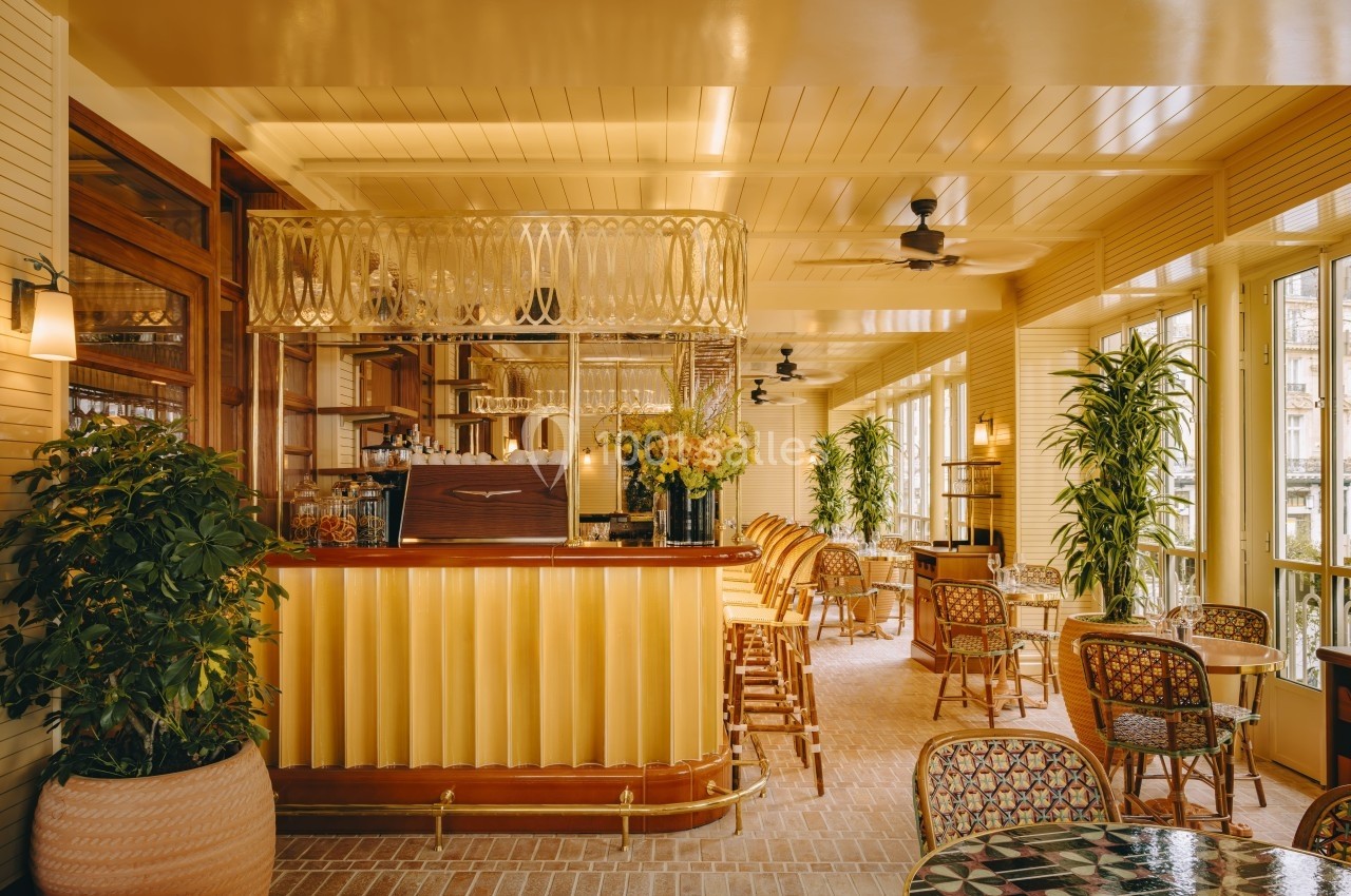 Intérieur lumineux d'un café avec un comptoir en bois, des plantes et des tables entourées de chaises en osier.