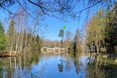 L'Etang la Marina - photo 2