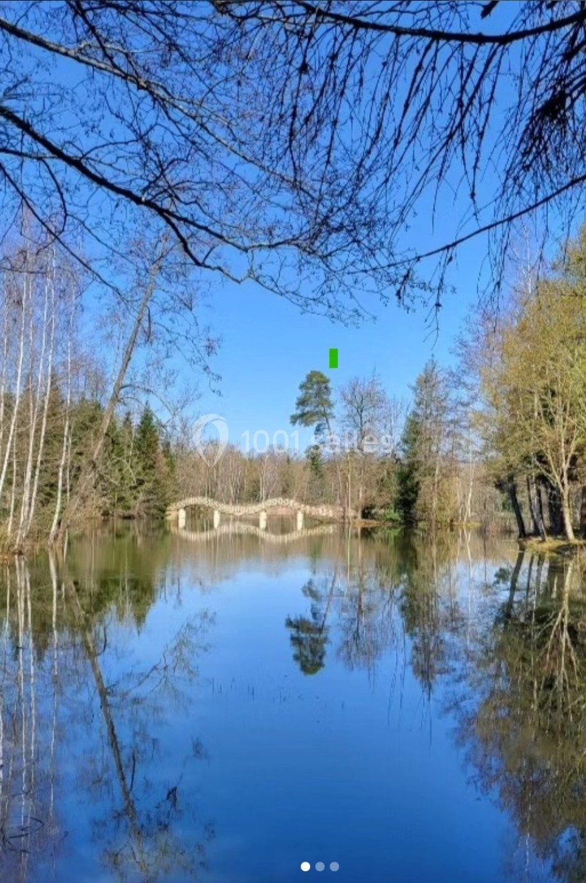 Vue d'un étang calme entouré d'arbres, avec un pont en pierre au centre sous un ciel bleu clair.