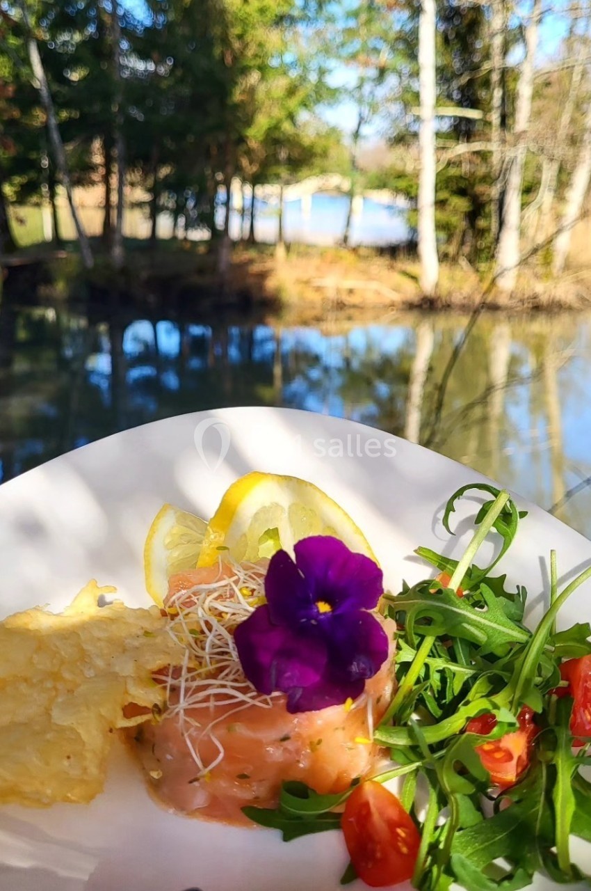 Assiette de tartare de saumon avec salade, tomates cerises, chips de fromage et fleur comestible, devant un étang boisé.