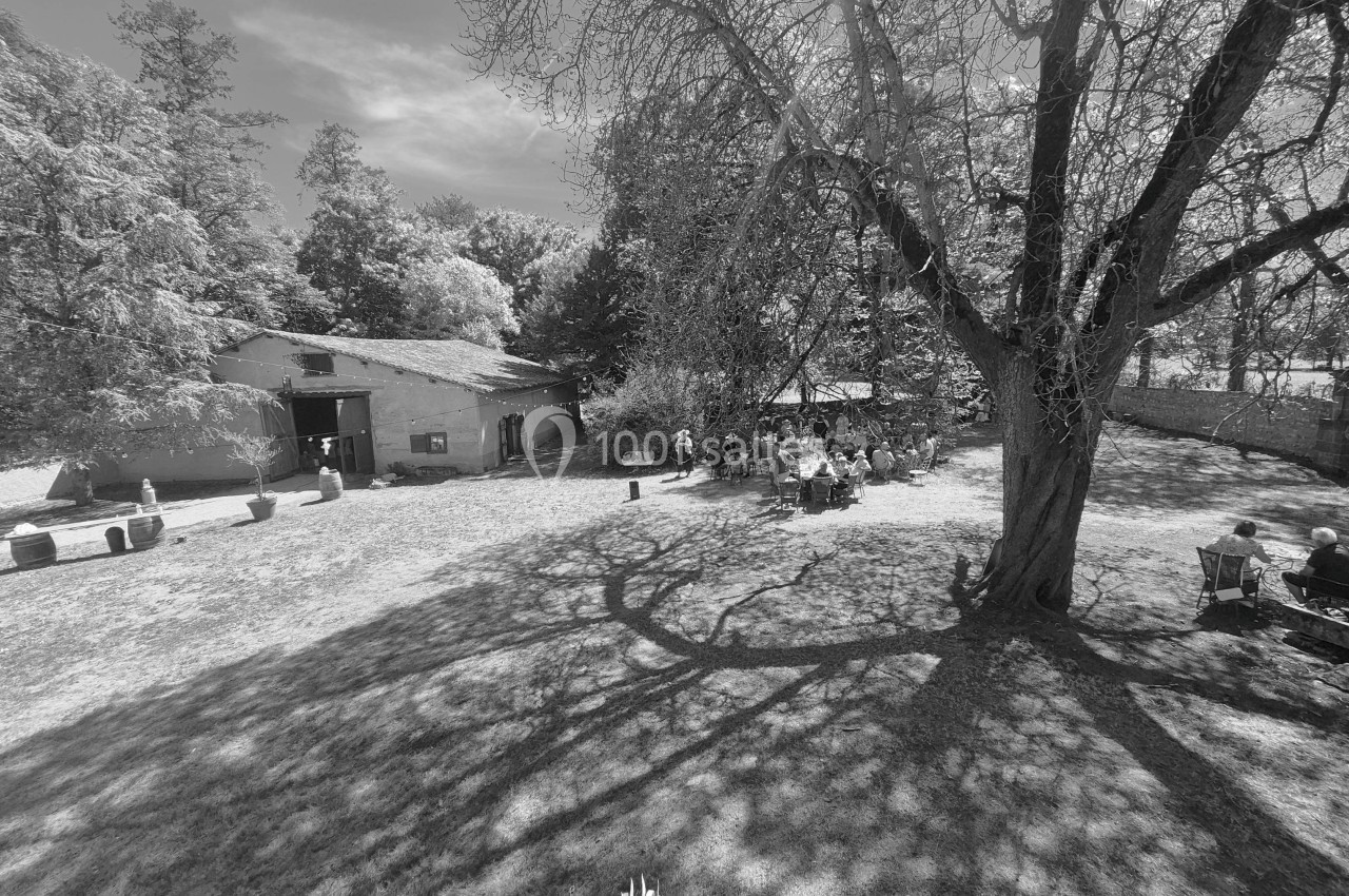 Vue d'un jardin ombragé avec un grand arbre, des personnes assises et un bâtiment en arrière-plan.