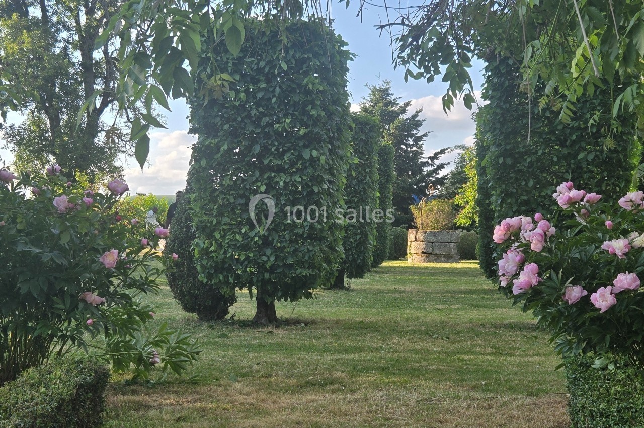 Allée de jardin bordée de buissons taillés et de fleurs roses, sous un ciel dégagé.