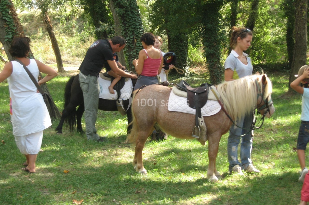 Des enfants et des adultes préparent des poneys avec des selles dans un espace herbeux entouré d'arbres.
