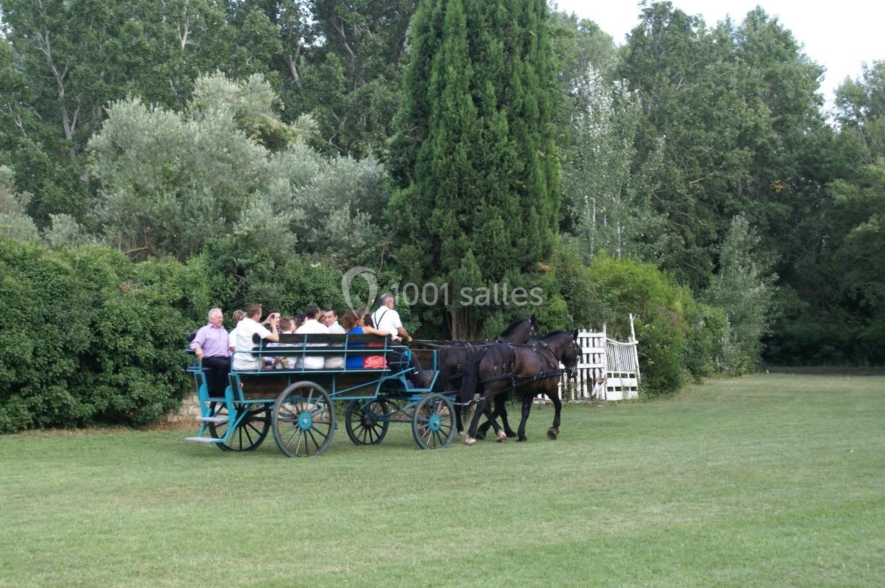 Un groupe de personnes assises dans une calèche tirée par deux chevaux, avançant sur une pelouse entourée d'arbres.
