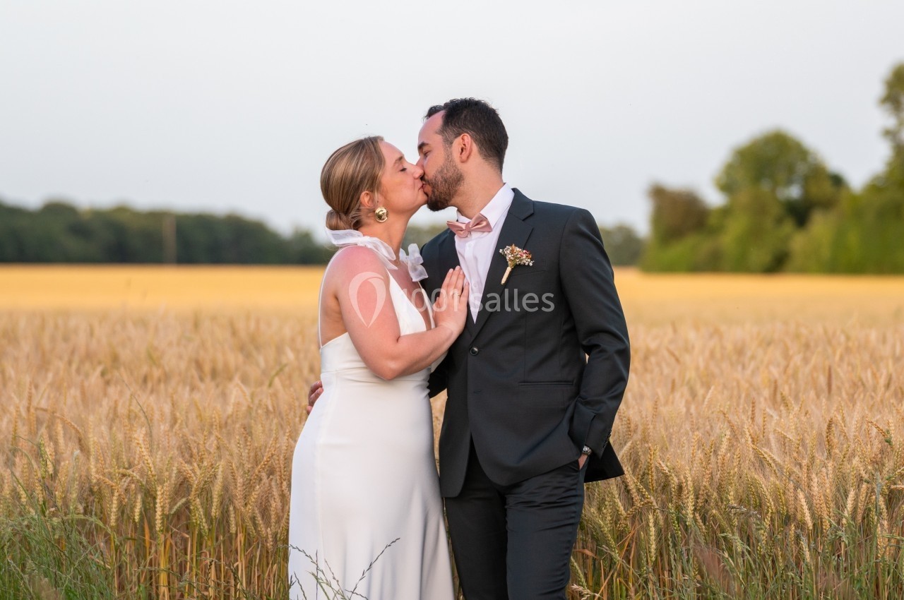 Un couple en tenue de mariage s'embrasse dans un champ de blé au coucher du soleil.