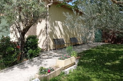 La Bastide des Oliviers - photo 3