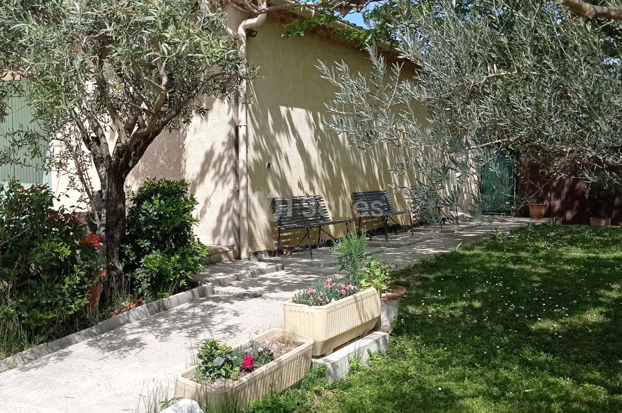 Jardin avec oliviers, pelouse, jardinières fleuries et bancs en bois adossés à une maison beige sous un ciel ensoleillé.