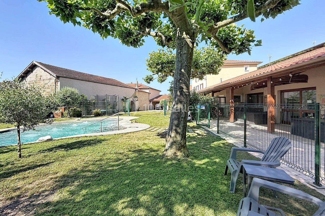 Espace extérieur avec piscine, pelouse, chaises longues sous un arbre et bâtiments en arrière-plan par temps ensoleillé.
