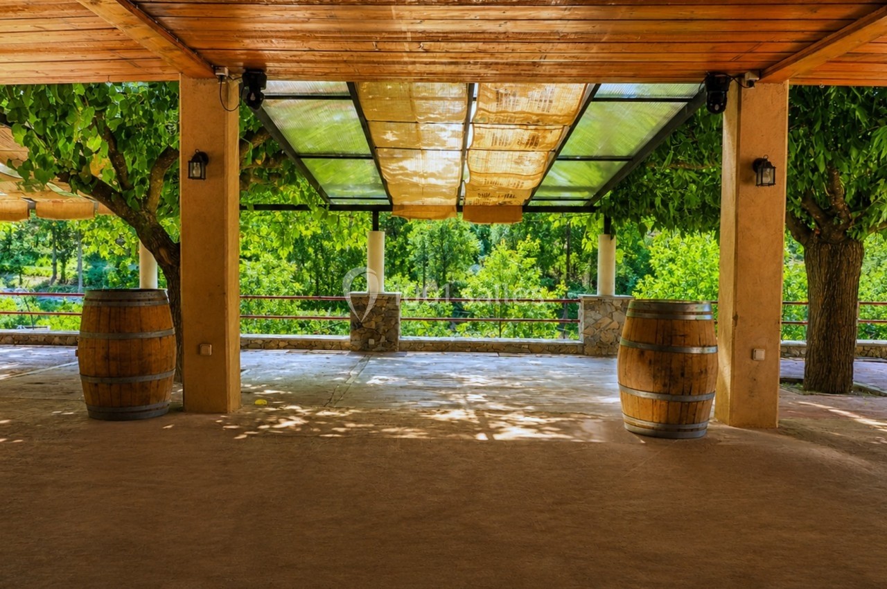Terrasse ombragée avec toit en verre, entourée de verdure et décorée de tonneaux en bois.
