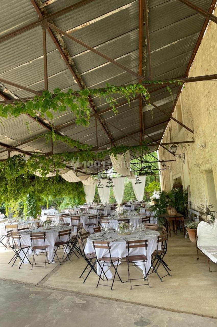 Salle de réception en extérieur avec tables dressées sous une pergola couverte de vigne et décorée de voilages blancs.