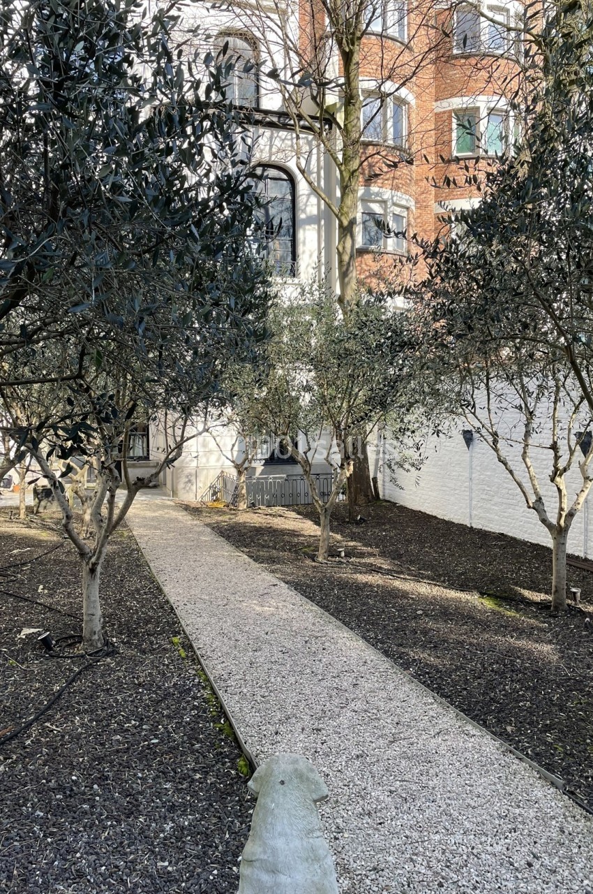 Location salle Bruxelles (Bruxelles-Capitale) - Maison Louise #9