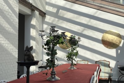 Location salle Bruxelles (Bruxelles-Capitale) - Maison Louise #68