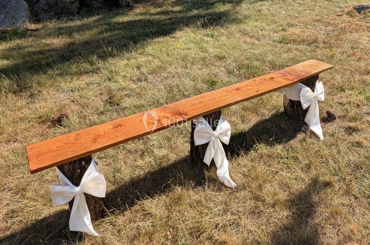 Banc en bois rustique avec pieds en tronc d'arbre, décoré de nœuds blancs, posé sur une pelouse ensoleillée.
