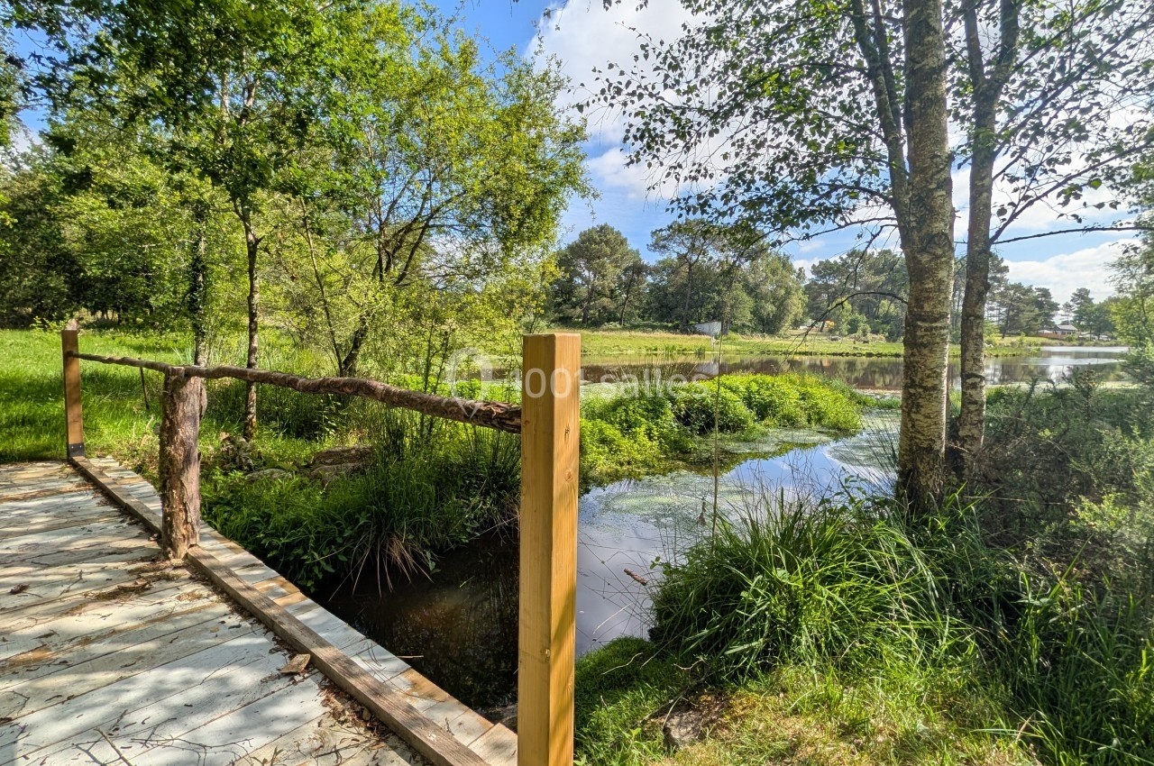Passerelle en bois bordée d'une barrière rustique, surplombant un ruisseau entouré de végétation et d'arbres.